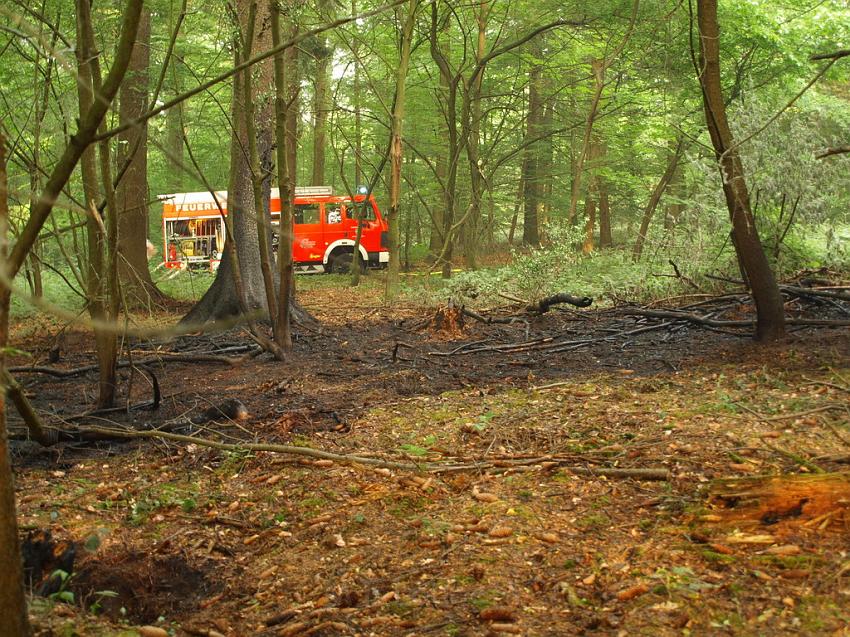 Waldbrand Bergisch Gladbach Bensberg P030.JPG